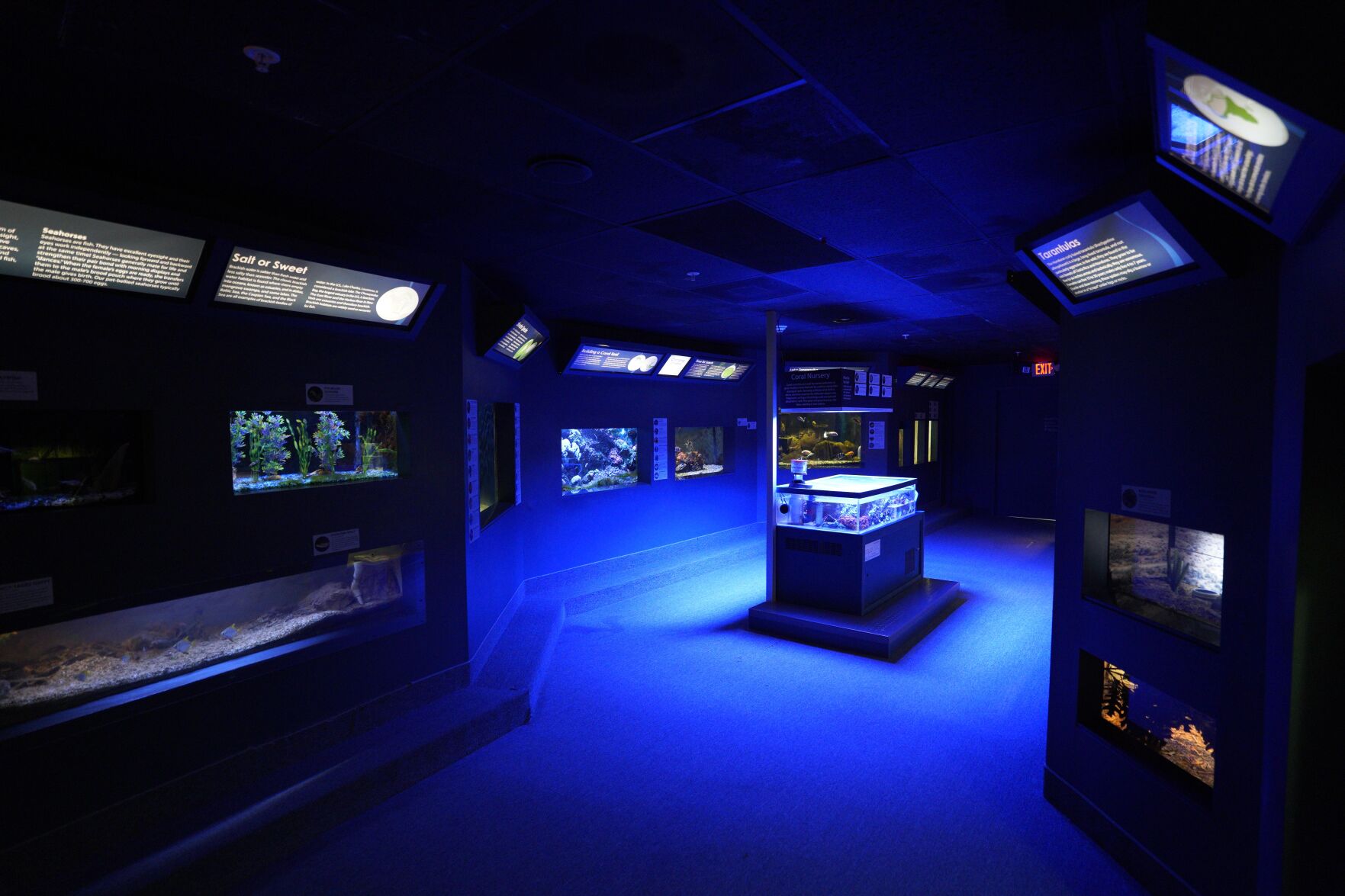 aquarium